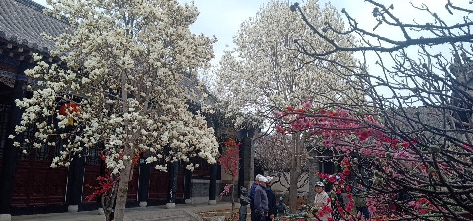 婷妹外卖小姐姐的图片
