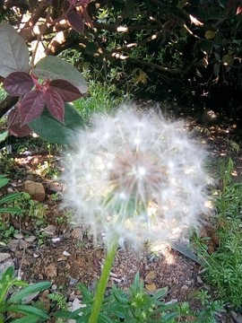 梦💞洁主播照片