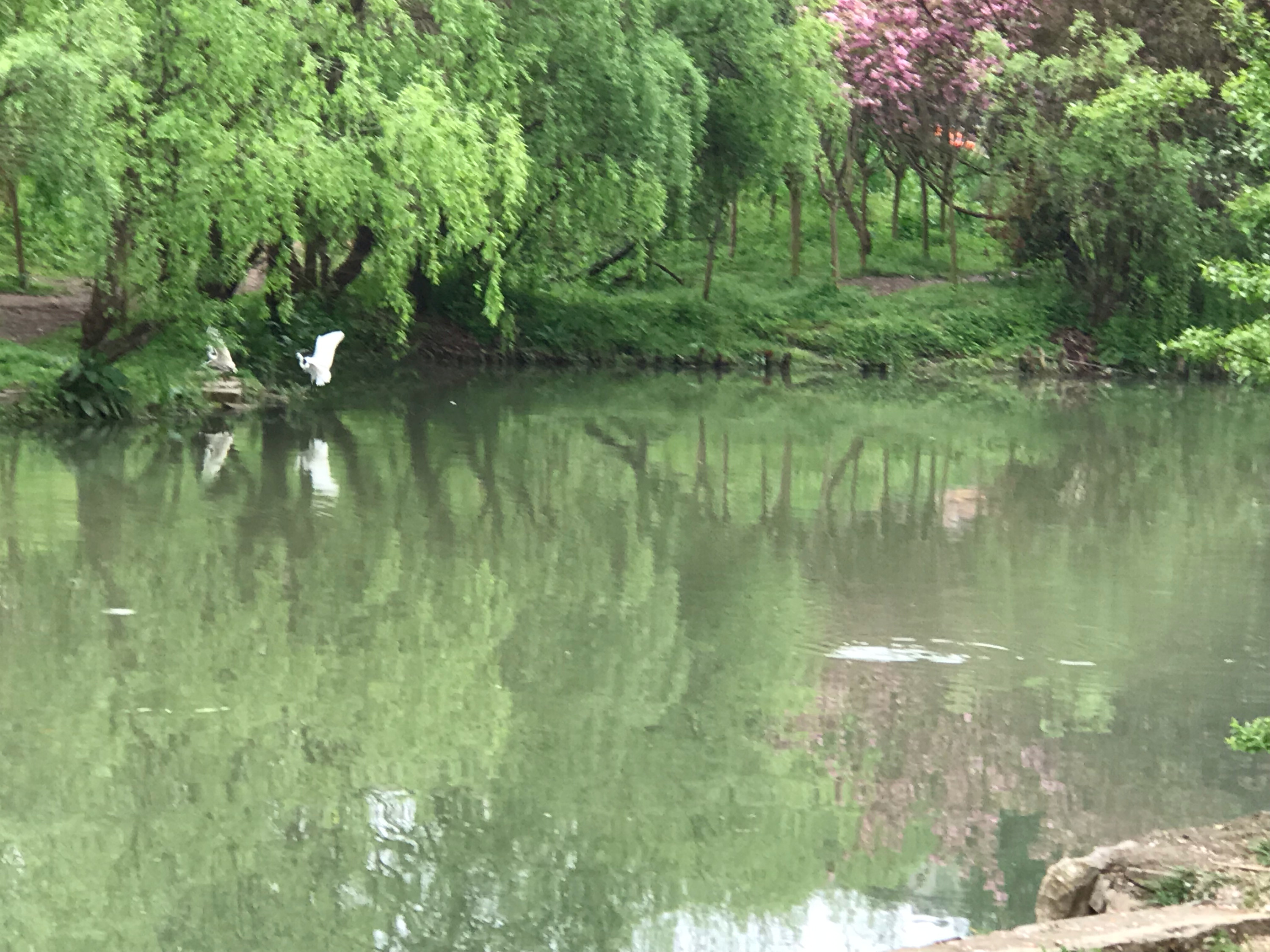 汪英缘主播照片