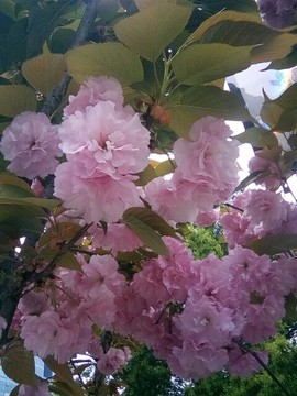 梦💞洁主播照片