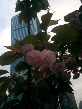 梦💞洁主播照片