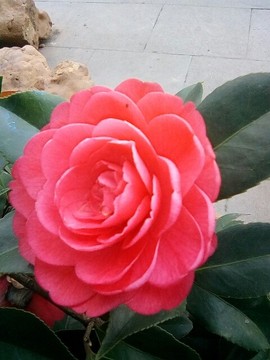 梦💞洁主播照片