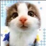 ︶ㄣ내나이가어때서べ海报