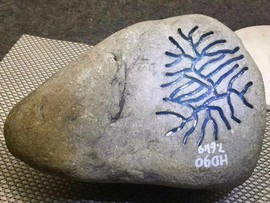 翡翠原石仙玉珠宝主播照片