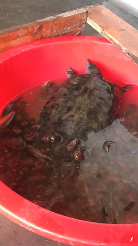 芜湖小武户外打野主播照片