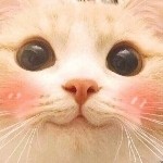 靓女又怎样我是读书人海报