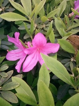 梦💞洁主播照片