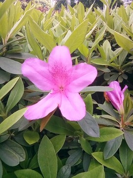 梦💞洁主播照片