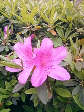 梦💞洁主播照片