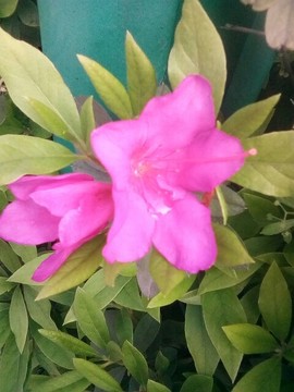 梦💞洁主播照片