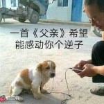 瑶瑶的萧爸爸的头像