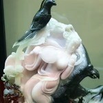 ））小飞鹰（（
