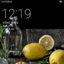 铅笔tp