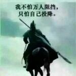 没币的老随风海报