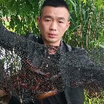 兄弟户外打野