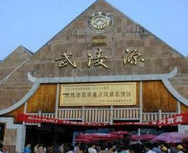 实力决定话语权主播照片