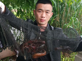 顺其自然bang的主播照片