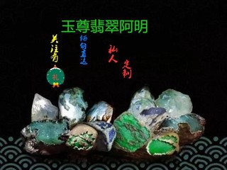 涛声依旧md7的主播照片