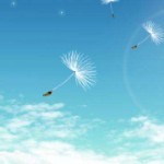 弹棉花嘞