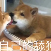 。人体描边大师。