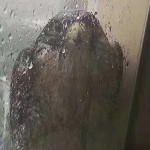 饮血专属海报