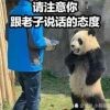 ghijrtuxz!的头像