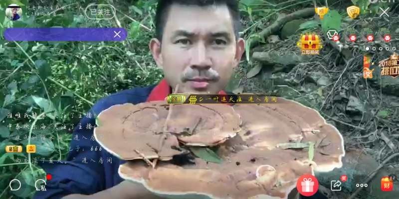 平歌鉴宝的图片