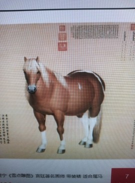 许隐士主播照片