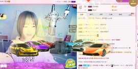一只雁~主播照片