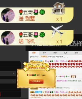 海鸽休息几天主播照片