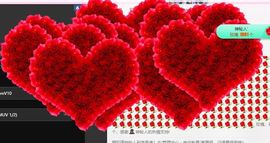 海鸽休息几天主播照片