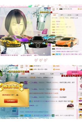 一只雁~主播照片