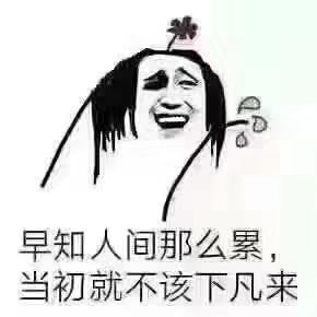 亮宝恭贺老大元始天尊主播照片