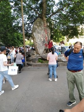 我欲化风成摩羯主播照片