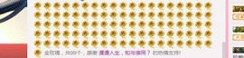 指挥官。主播照片