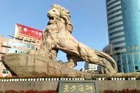 ~20.随意ᝰ主播照片