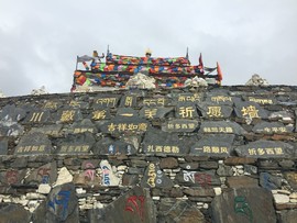 实力决定话语权主播照片