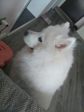 浮生只为红颜渡主播照片