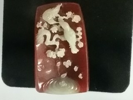 春雨q主播照片
