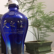 ①洣伍咋哋