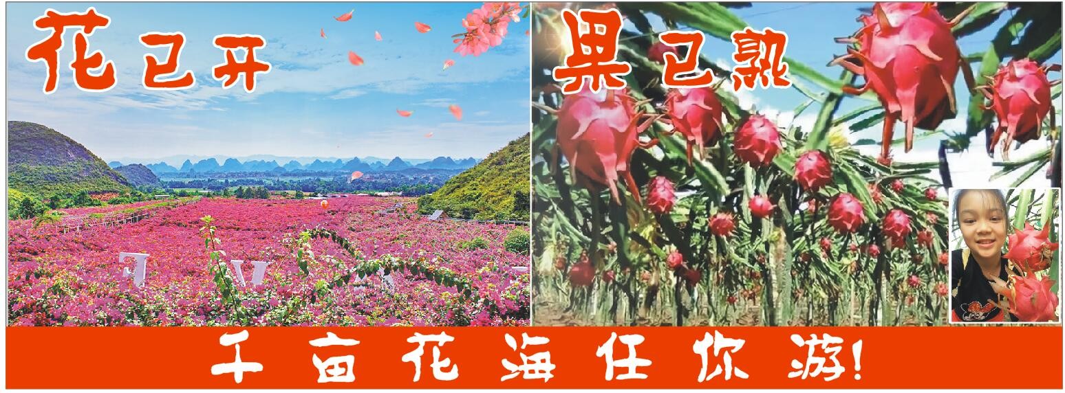桂林旅游阿牛哥的主播照片