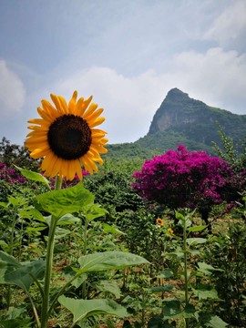 桂林旅游阿牛哥主播照片