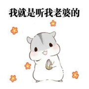 小小仓鼠🐹