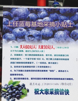 丹丹姐🎶🎶主播照片