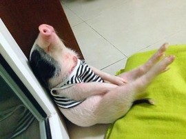♬默默✨小蛮宝☞🌜主播照片