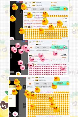 娘子停播主播照片