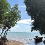 飘影$!海报