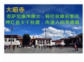 人间某处主播照片