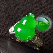 人间某处主播照片