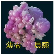 人间某处主播照片